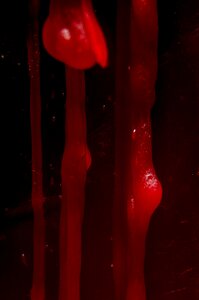 Free stock photo of bloody, candle, macro