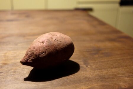 Free stock photo from Tookapic