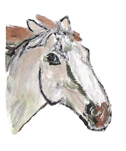 Painting lusitanohengst horse