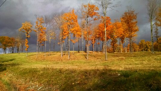 Free stock photo of grey, orange, overcast