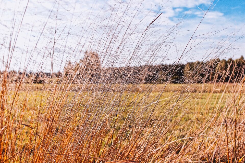 Free stock photo from Tookapic