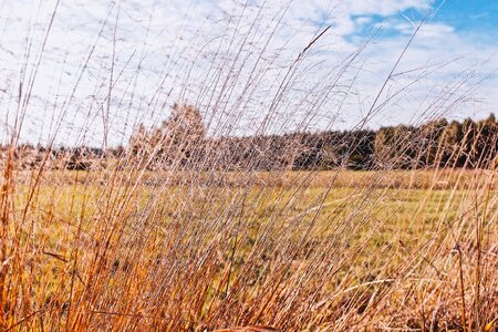 Free stock photo from Tookapic