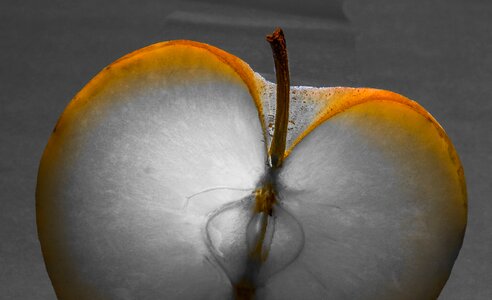 Free stock photo of apple, fruit, light