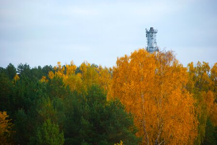 Free stock photo from Tookapic