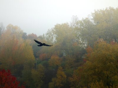 Free stock photo from Tookapic