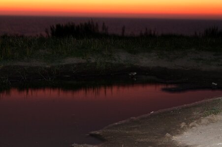 Free stock photo of bird sunset-puddle-see