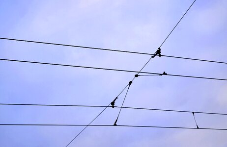 Free stock photo of electric wires, sky, tram wires photo