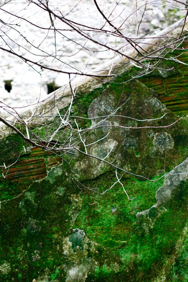 Free stock photo of detail, wall