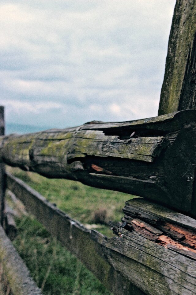 Free stock photo of fence, wood