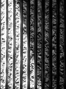 Free stock photo of concreed, dark, light