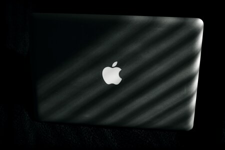 Free stock photo of apple, black and-white