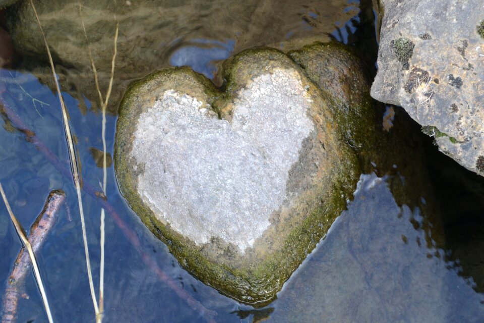 Free stock photo of heart, stone, water photo