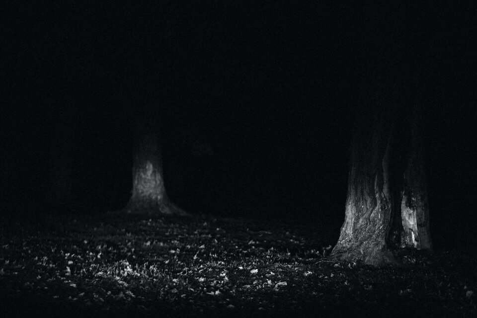 Free stock photo of black and-white, creepy, dark