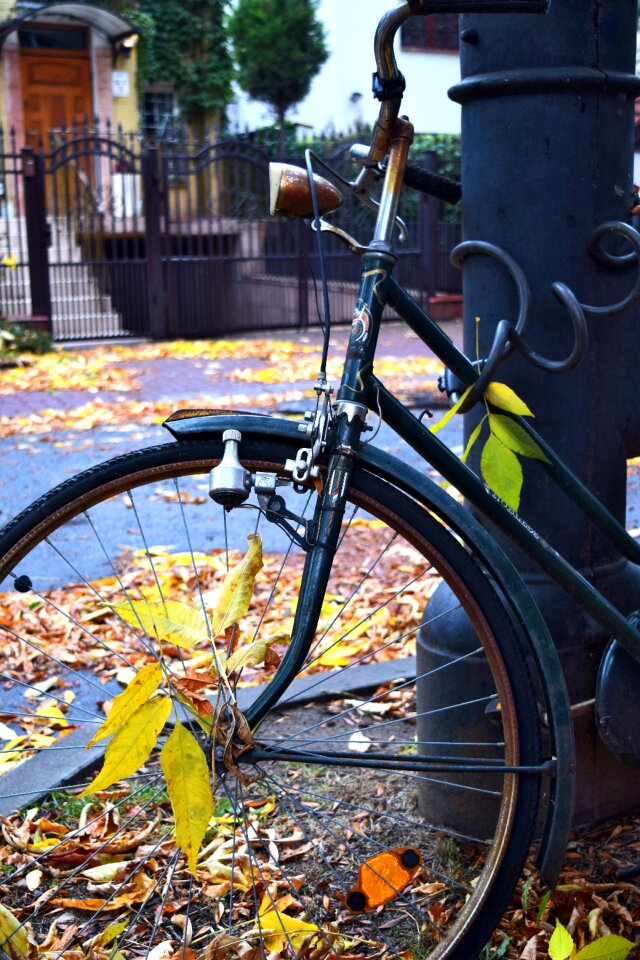 Free stock photo of bicycle, rust, saska kepa