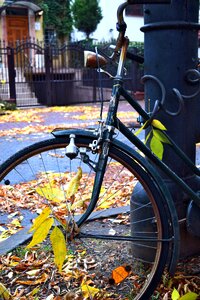 Free stock photo of bicycle, rust, saska kepa photo