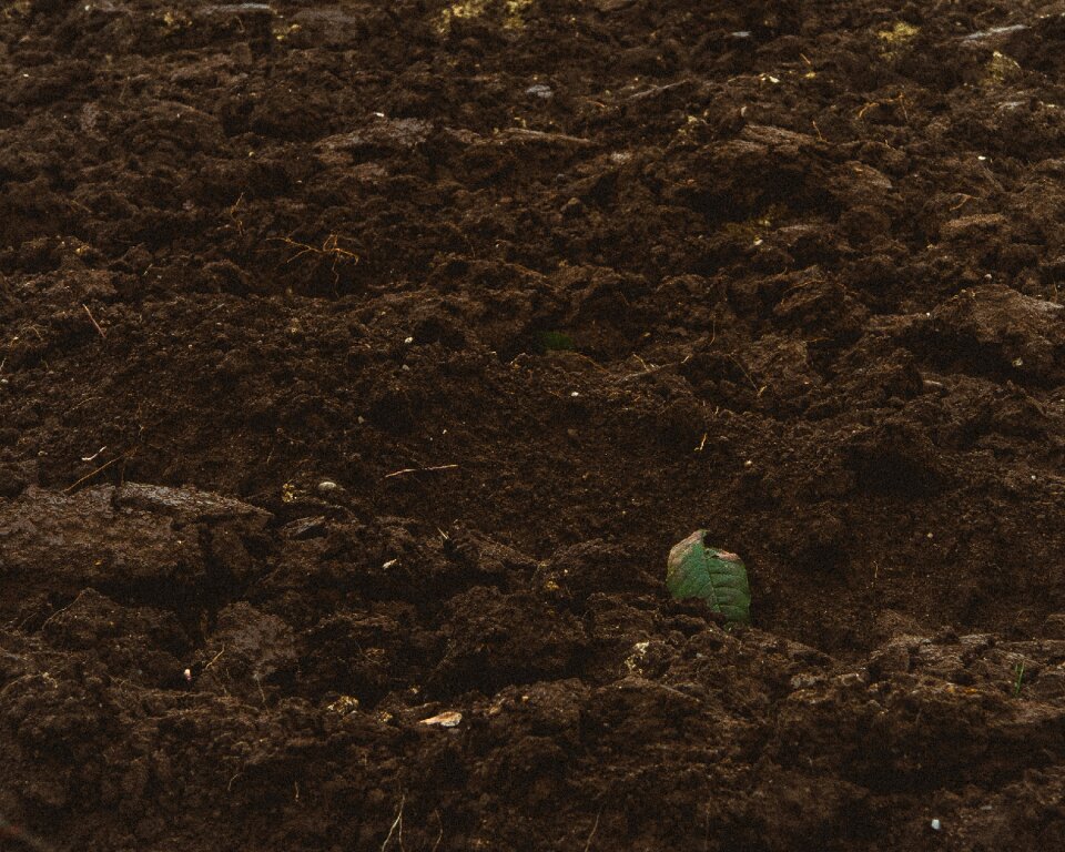 Free stock photo of dirt