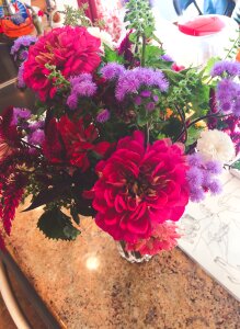 Free stock photo of birthday, flowers photo