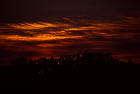 Free stock photo of clouds, sunset, trees