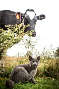 Free stock photo from Tookapic