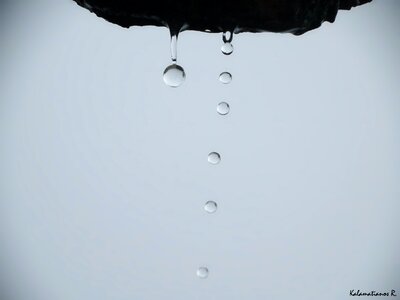 Free stock photo of drop, drops, rain drops