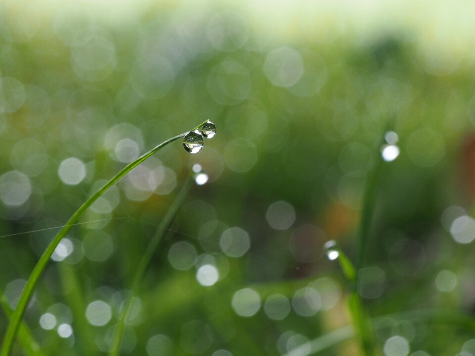 Free stock photo from Tookapic