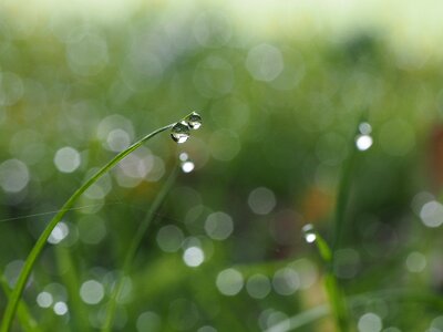 Free stock photo from Tookapic