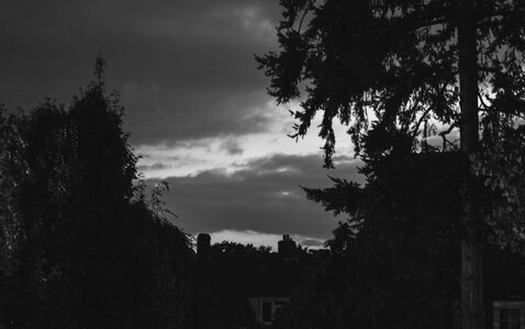 Free stock photo from Tookapic