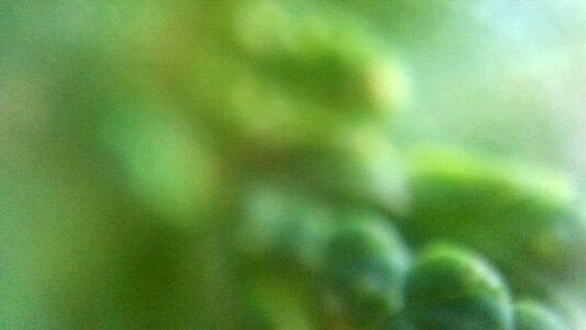 Free stock photo of blur, curve, green photo