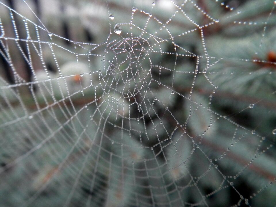 Free stock photo from Tookapic