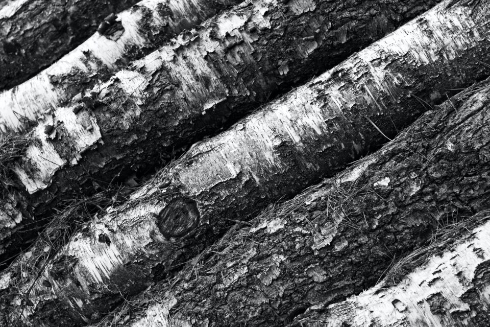 Logs Grey Scale Photography