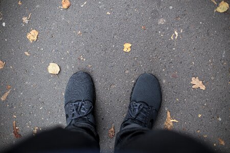 Free stock photo of city, gdansk, janoski