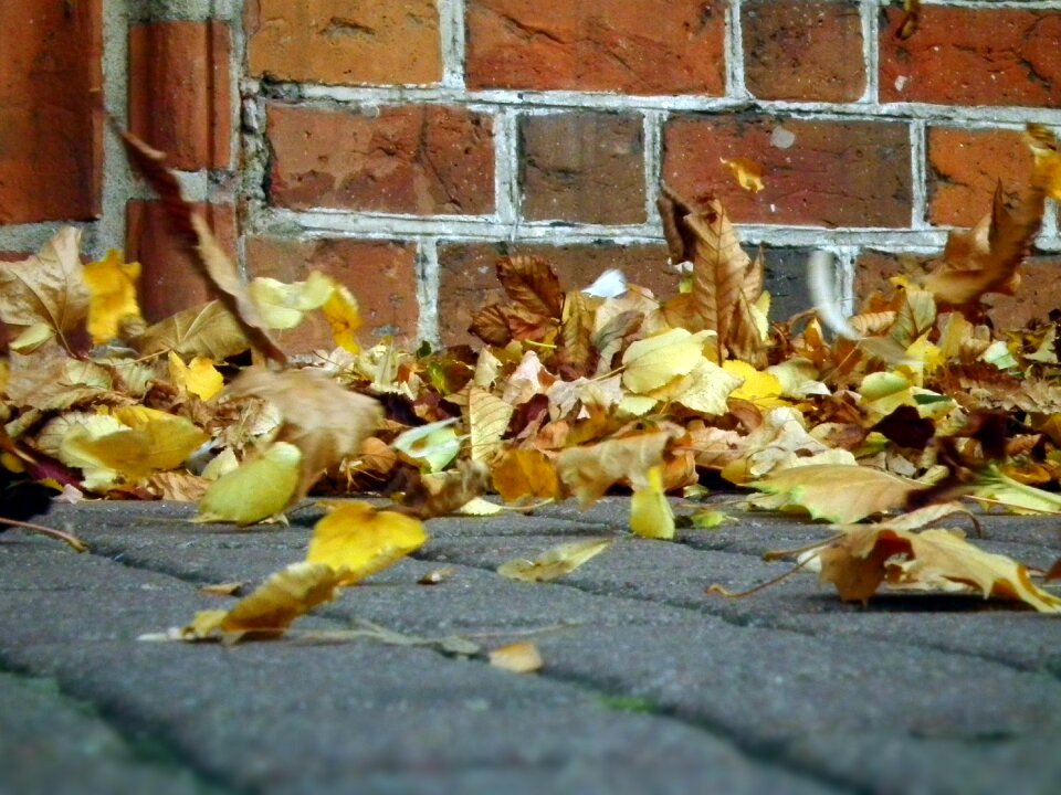 Free stock photo from Tookapic