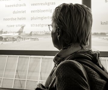 Free stock photo of traveling