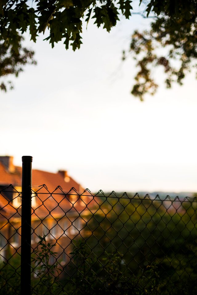 Free stock photo of fence, sky, tree