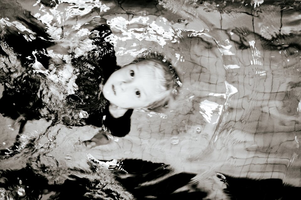 Free stock photo of swimming
