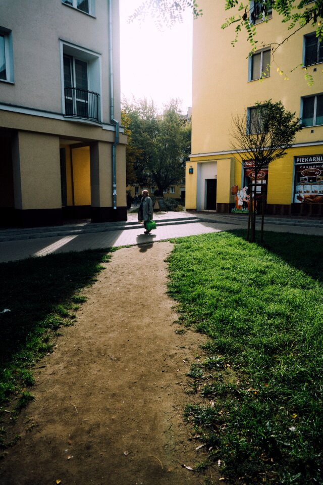 Free stock photo of grass, path, people