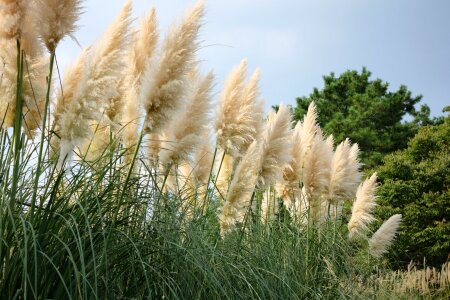 Free stock photo from Tookapic