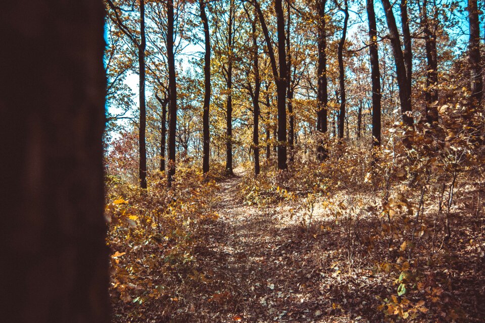 Free stock photo of poland