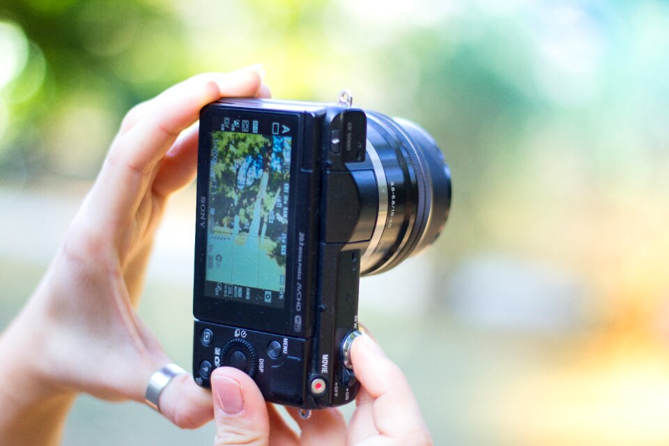 Person Holding Black Point-and-shoot Camera