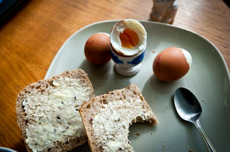 Free stock photo of eggs, food photo