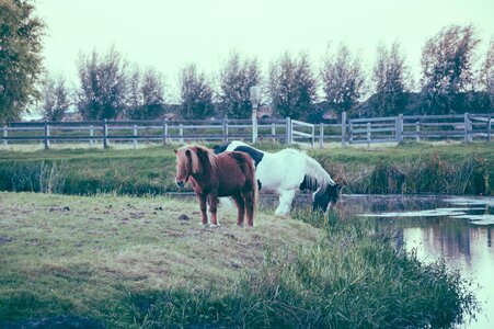 Free stock photo from Tookapic