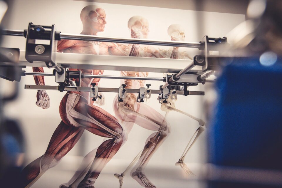 Free stock photo of cardio, room