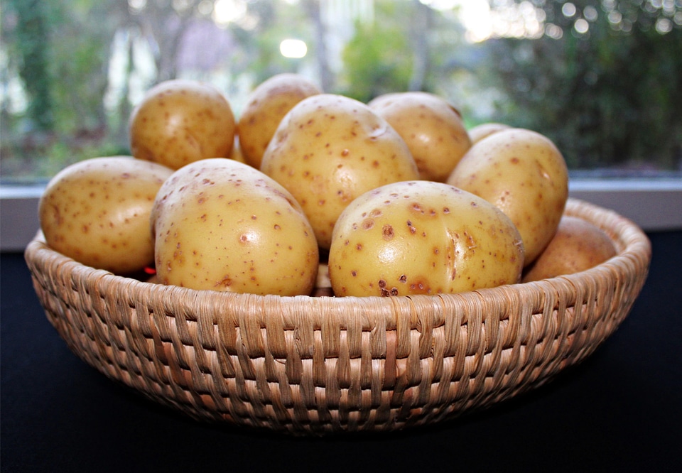 Vegetable fruit tuber crop farmland fruit