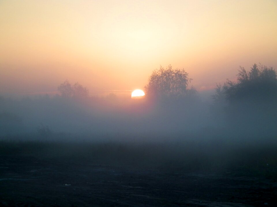 Free stock photo from Tookapic