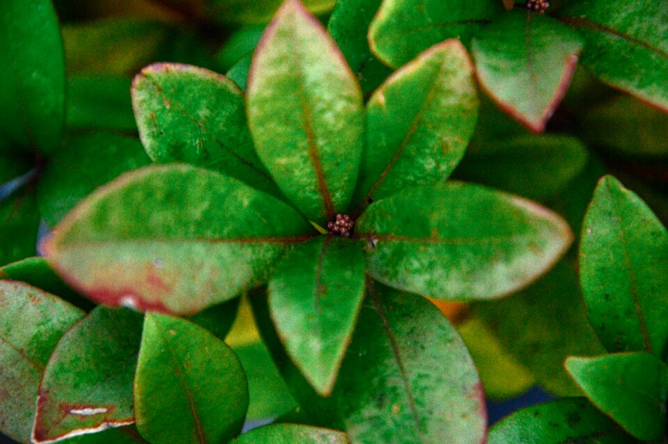 Free stock photo from Tookapic