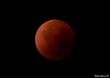 Free stock photo of blood moon, eclipse, full moon photo