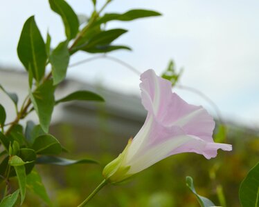 Free stock photo from Tookapic