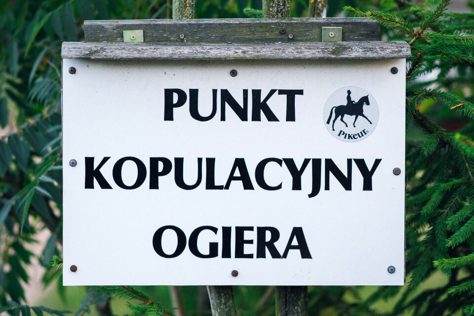 Free stock photo from Tookapic