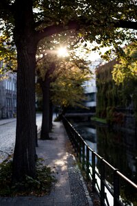 Free stock photo of beautiful river, city, colorful photo