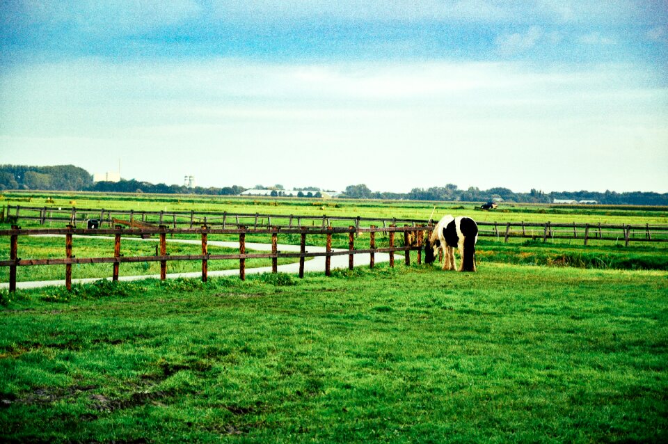 Free stock photo from Tookapic